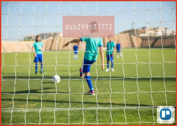dsh299623772
