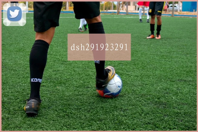 dsh291923291