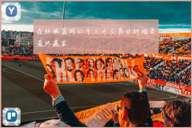 森林狼篮网公牛三方交易分析谁是最终赢家