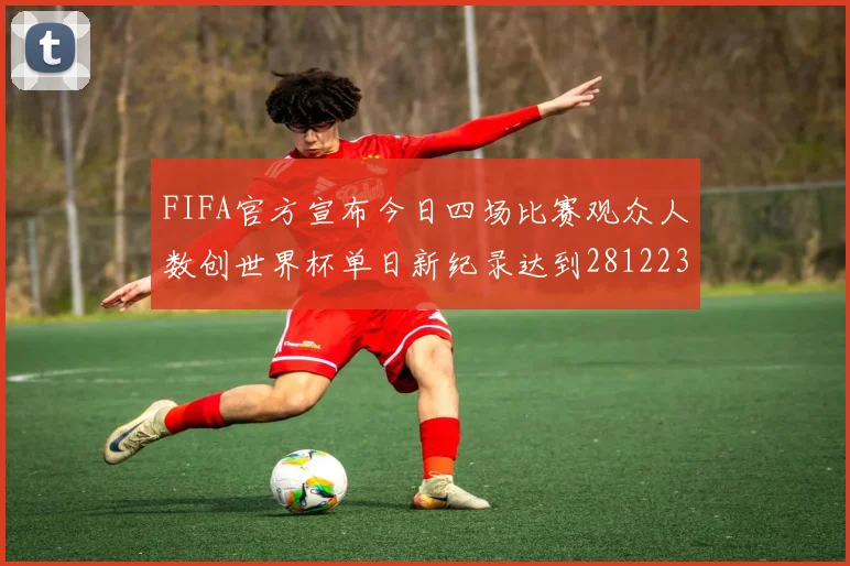 FIFA官方宣布今日四场比赛观众人数创世界杯单日新纪录达到281223人