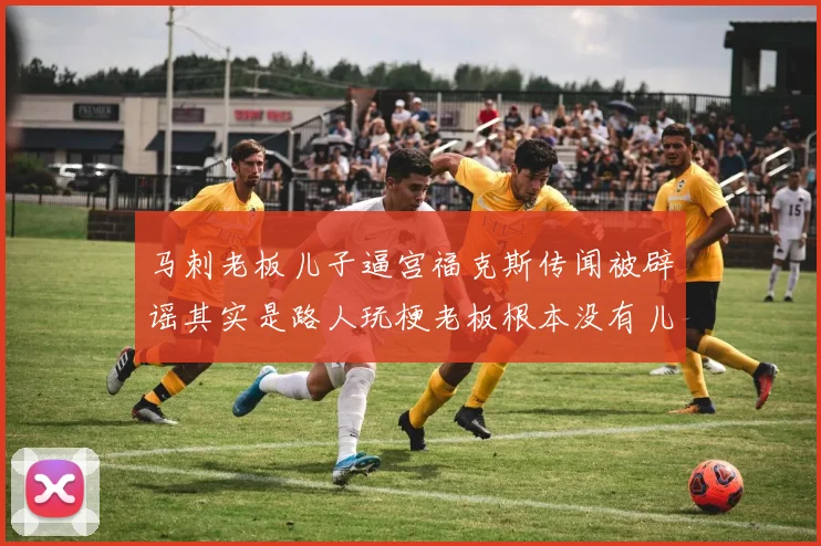 马刺老板儿子逼宫福克斯传闻被辟谣其实是路人玩梗老板根本没有儿子